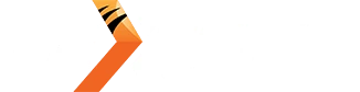 โลโก้ค่ายเกม Nextspin ที่ VF238 เว็บตรง